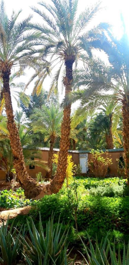Dar Sofian Riad Zagora