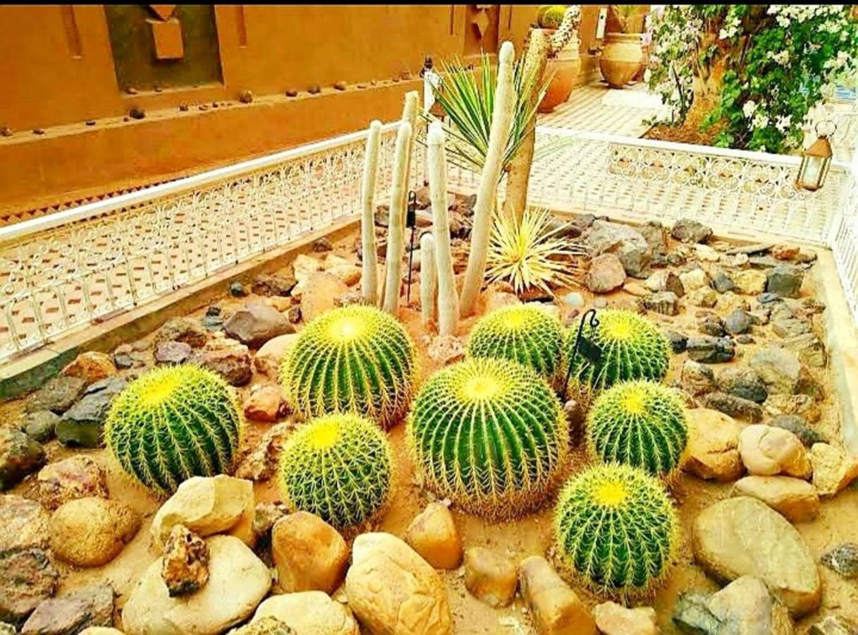 Dar Sofian Riad 3*