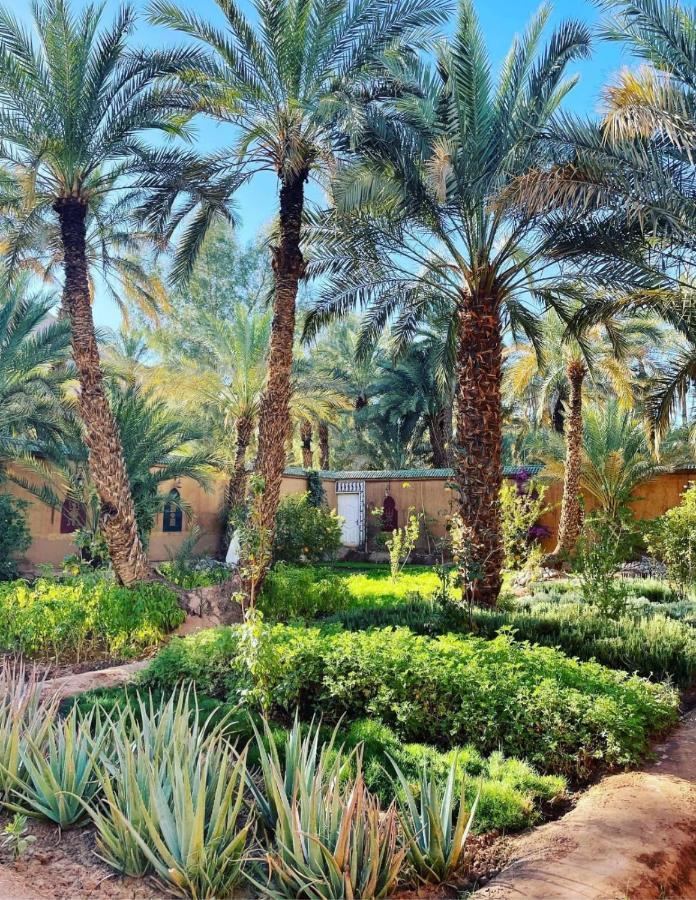 Dar Sofian Riad 3*